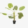 Alocasia artificial en maceta 110cm