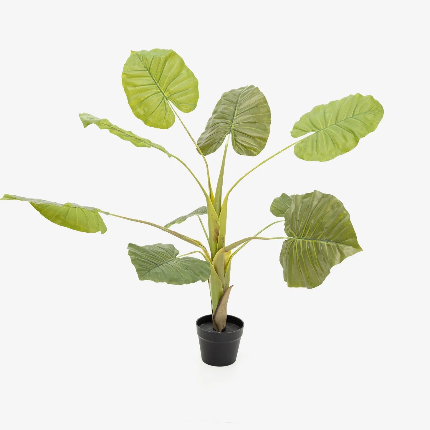 Alocasia artificial en maceta 110cm