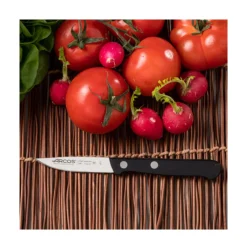 Cuchillo pelador universal de acero inoxidable 7cm - Arcos