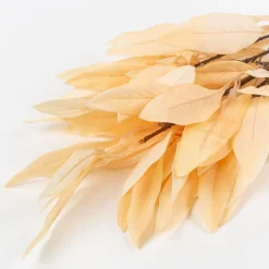 Rama de laurel beige