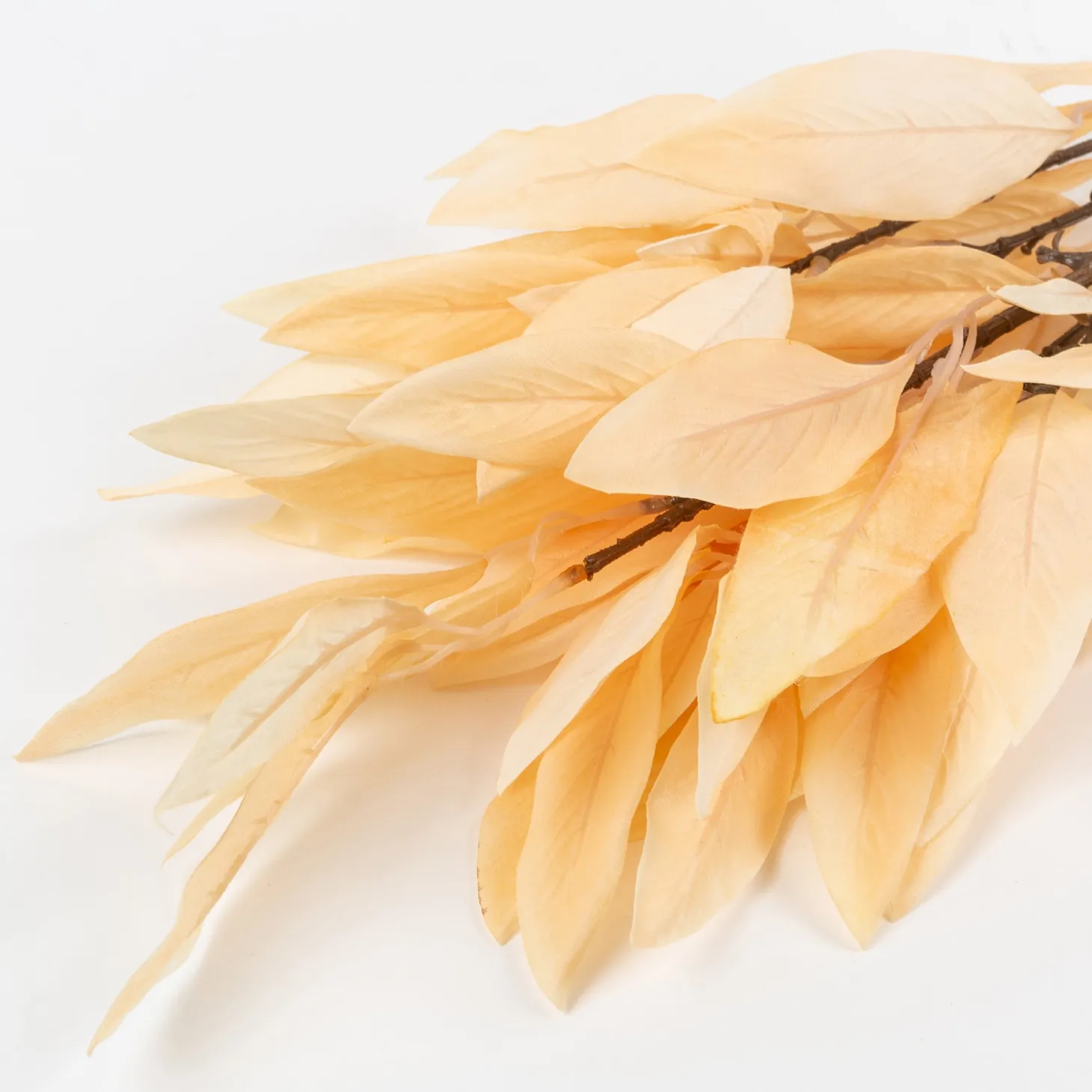 Rama de laurel beige