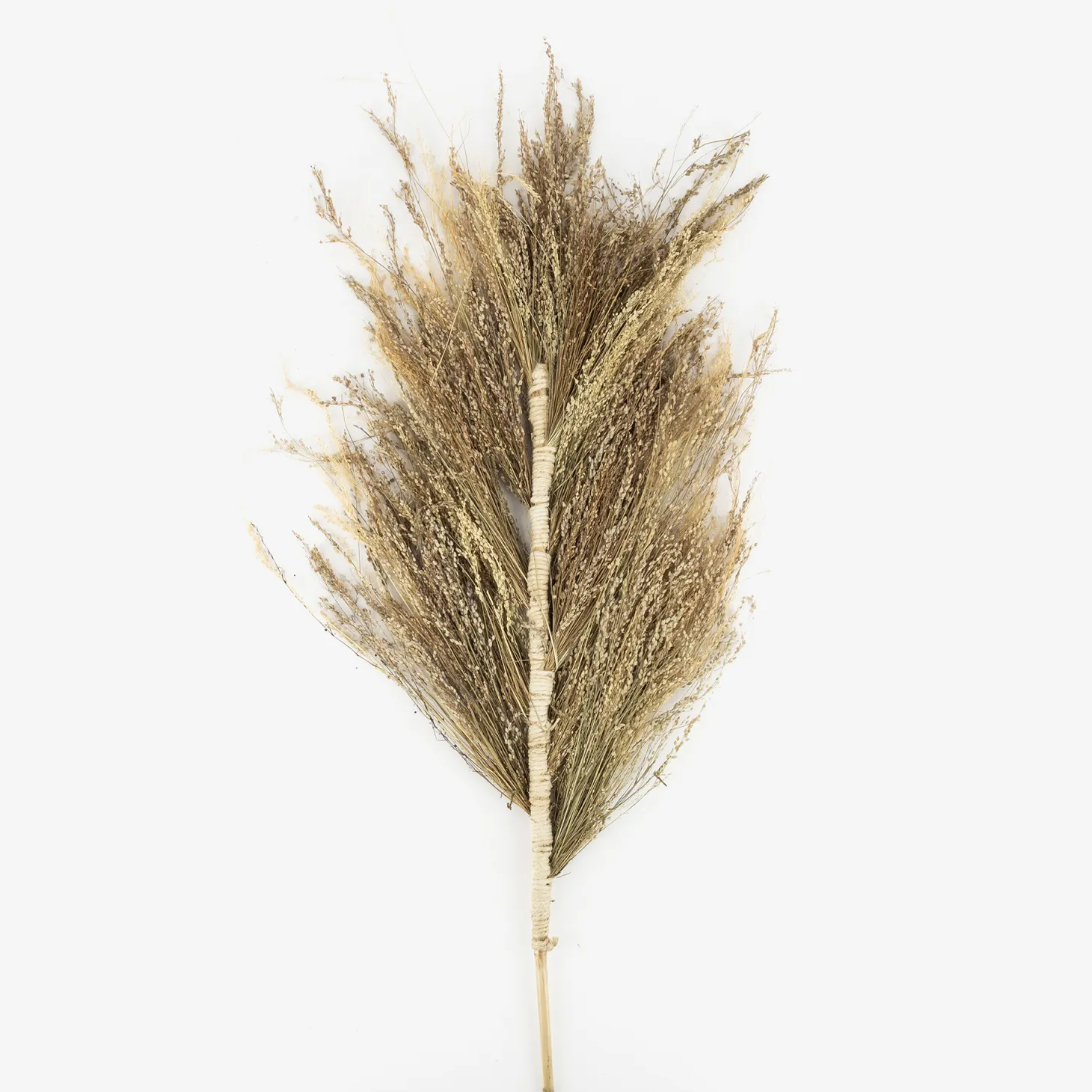 Rama flor seca espiga 150cm
