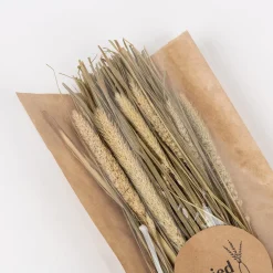 Ramo de ramas secas natural